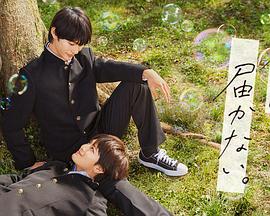 无码手机看黄色视频海报剧照