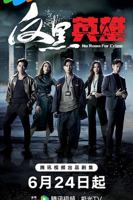 江阴美嘉城院海报剧照